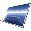 מסך למחשב נייד HP NC6220 אייג' פי